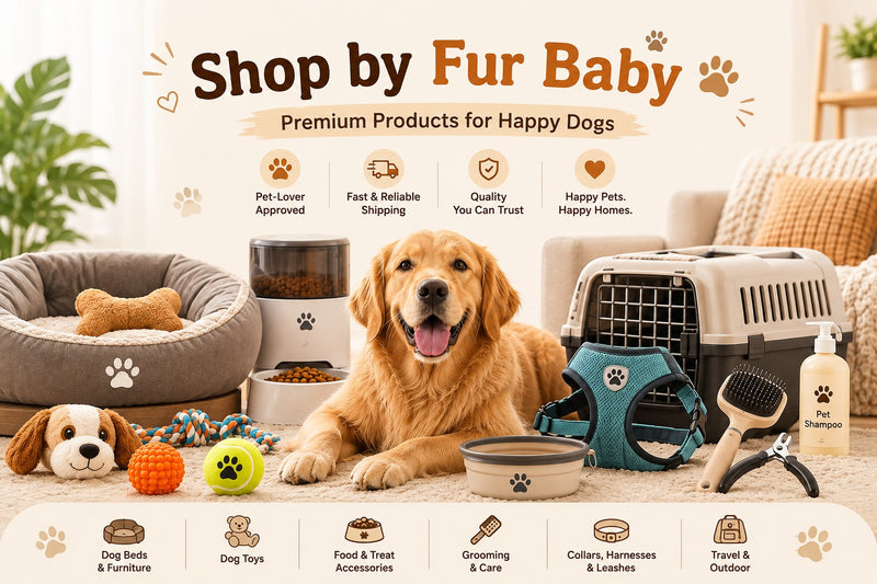 Dog Essentials