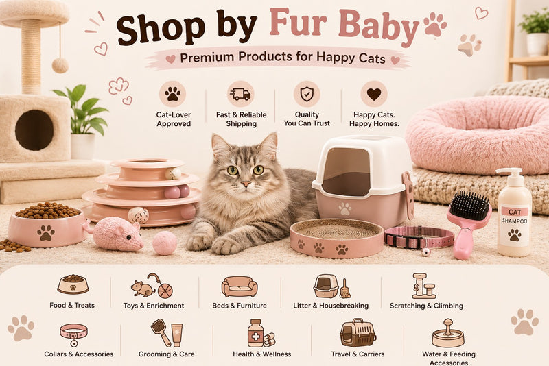 Cat Essentials